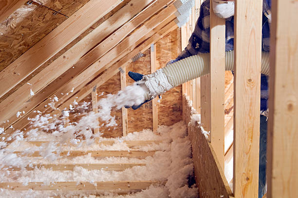 Best Insulation Replacement  in USA